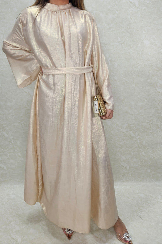 Shimmer modest dress